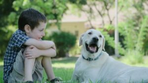 Boy with pet -2
